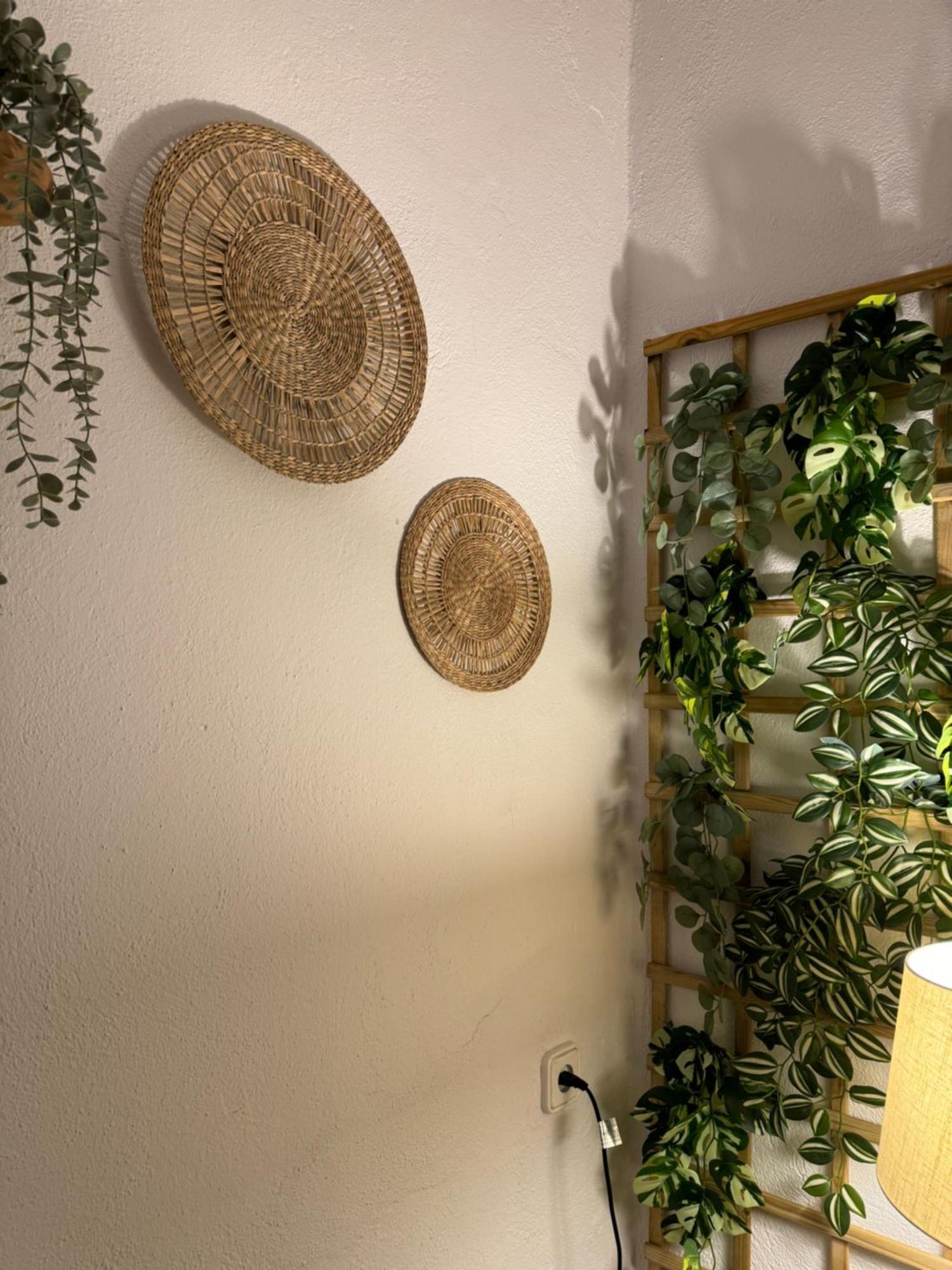 Garden Suites Xativa Casa Rural Εξωτερικό φωτογραφία